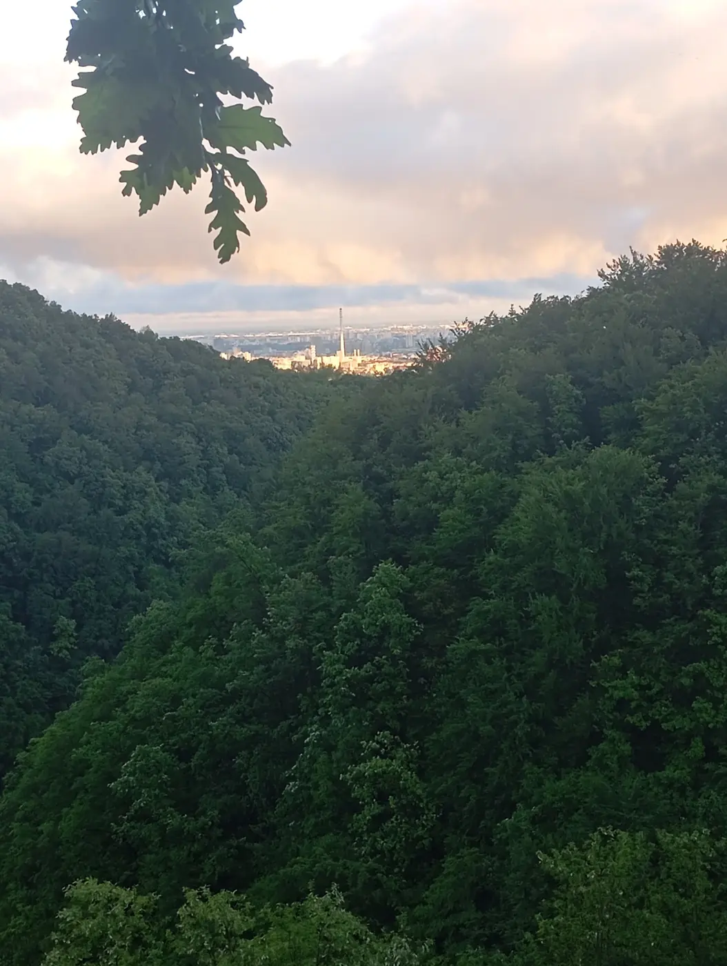 View over the forest near Beast Cave OCR
